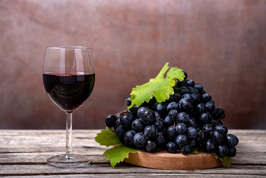 Dolcetto: scopri caratteristiche, terroir e abbinamenti Dolcetto: scopri caratteristiche, terroir e abbinamenti
